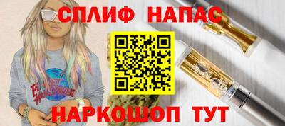 Альфа ПВП Будённовск