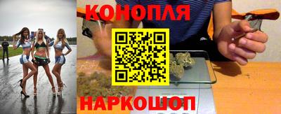 Альфа ПВП Будённовск