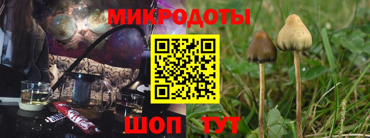 Псилоцибиновые грибы MAGIC MUSHROOMS  Вход с VPN  Пушкино 